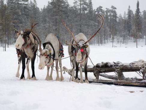 A Découvrir en Suède - Le Peuple Samis