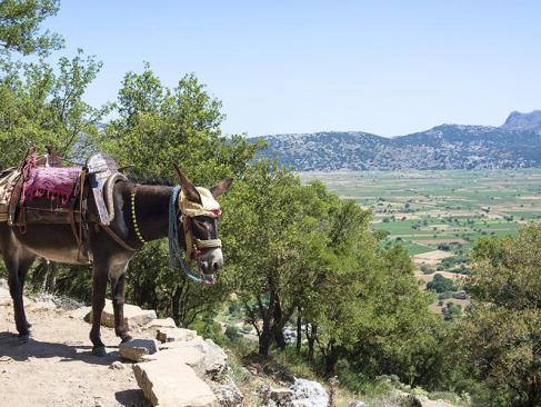 A Découvrir en Crète - Le Plateau du Lassithi