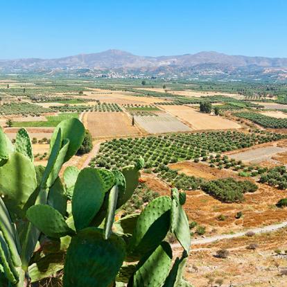 A Découvrir en Crète - La Plaine de la Messara