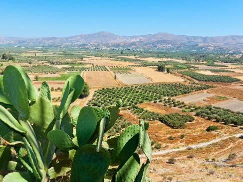 Plaine De La Messara A Découvrir en Crète - La Plaine de la Messara