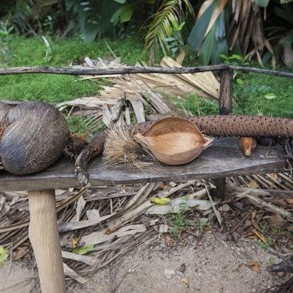 A Découvrir aux Seychelles - La Vallée de Mai