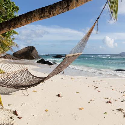 A Découvrir aux Seychelles - Silhouette Island