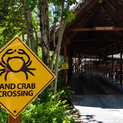 A Découvrir aux Seychelles - Silhouette Island