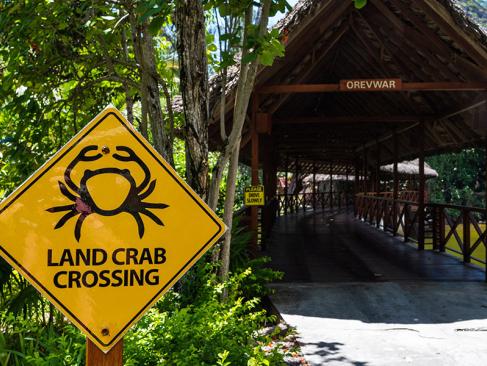 A Découvrir aux Seychelles - Silhouette Island