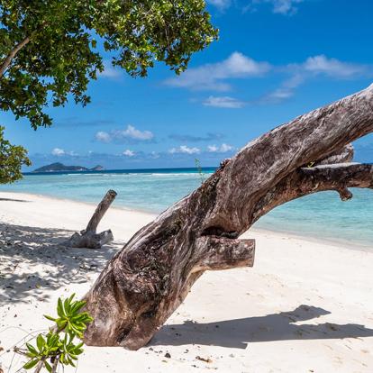 A Découvrir aux Seychelles - Silhouette Island