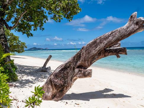 A Découvrir aux Seychelles - Silhouette Island