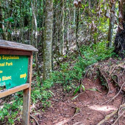 A Découvrir aux Seychelles - Le Parc national du Morne Seychellois