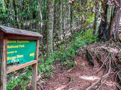 Mahe - Parc National Du Morne Seychellois A Découvrir aux Seychelles - Le Parc national du Morne Seychellois
