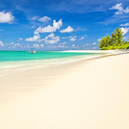 Denis Island A Découvrir aux Seychelles - Denis Island