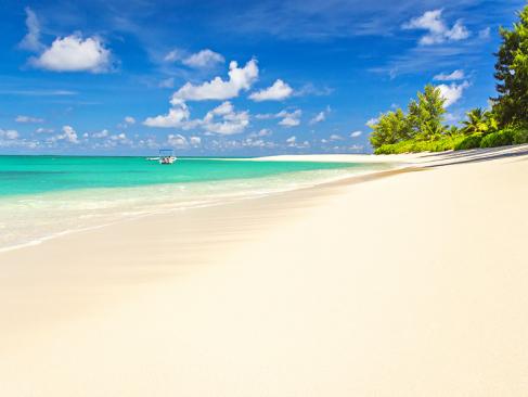 Denis Island A Découvrir aux Seychelles - Denis Island