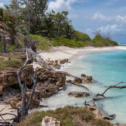 Denis Island A Découvrir aux Seychelles - Denis Island