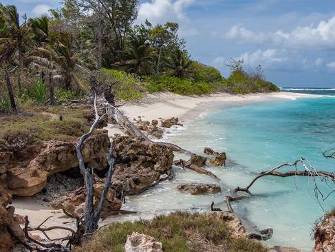 Denis Island A Découvrir aux Seychelles - Denis Island