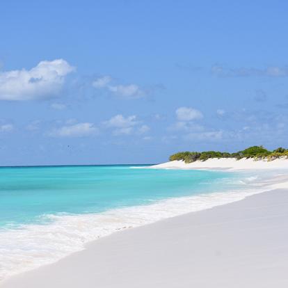 Bird Island A Découvrir aux Seychelles - Bird Island