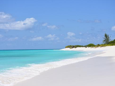 Bird Island A Découvrir aux Seychelles - Bird Island