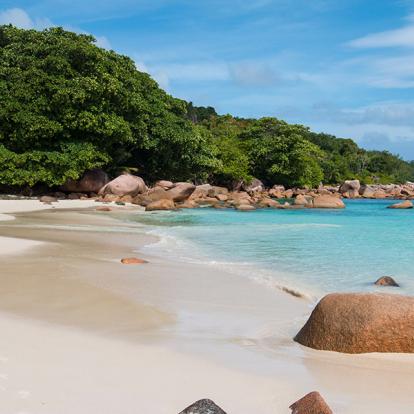 A Découvrir aux Seychelles - L'Anse Lazio sur Praslin