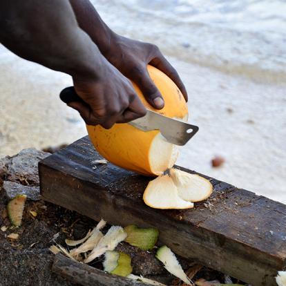 Seychelles A Découvrir aux Seychelles : Les Saveurs exotiques de la cuisine seychelloise