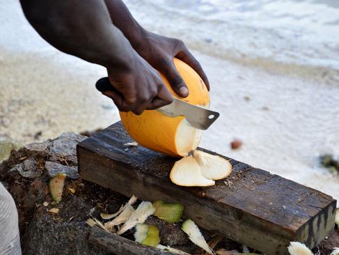 Seychelles A Découvrir aux Seychelles : Les Saveurs exotiques de la cuisine seychelloise