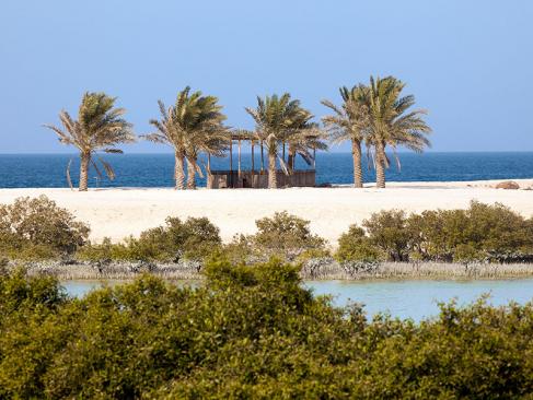 A Découvrir aux Emirats Arabes Unis - Sir Bani Yas Island