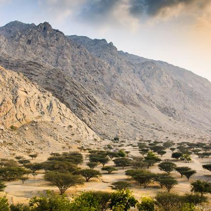 A Découvrir aux Emirats Arabes Unis - Ras al-Khaimah