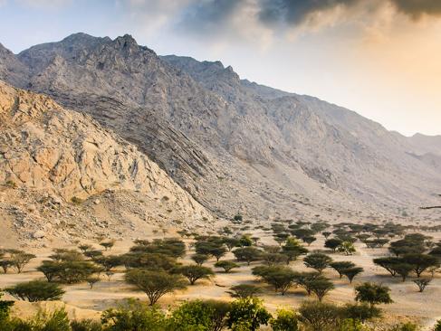 A Découvrir aux Emirats Arabes Unis - Ras al-Khaimah