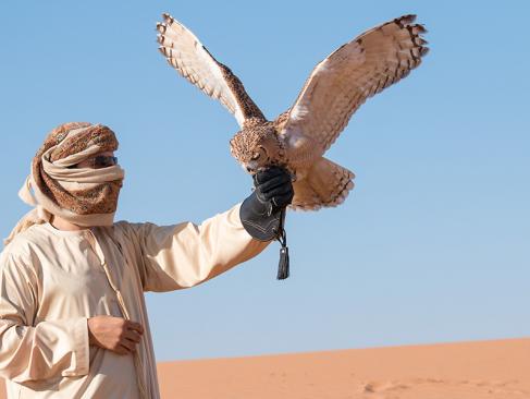 Dubaï A Découvrir aux Emirats Arabes Unis - Dubaï