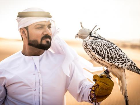 A Découvrir aux Emirats Arabes Unis - Abu Dhabi