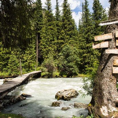 Vallée Altyn Arashan A Découvrir au Kirghizistan - Karakol