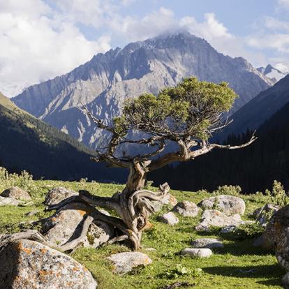 A Découvrir au - La Vallée d'Altyn Arashan