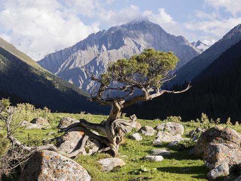 A Découvrir au - La Vallée d'Altyn Arashan