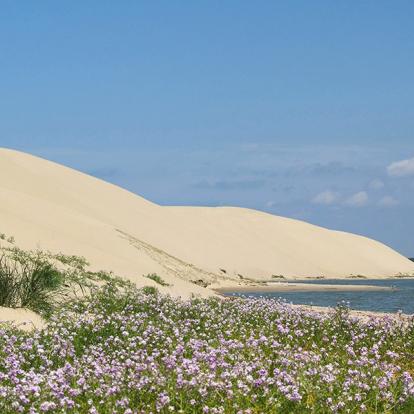 A Découvrir en Lituanie - L'Isthme de Courlande