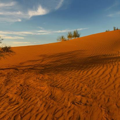 A Découvrir en Ouzbékistan - Le Désert du Kyzyl-Koum