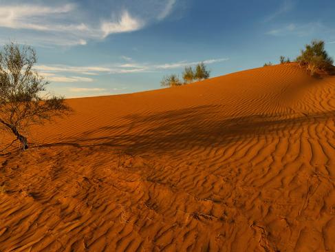 Désert Du Kyzyl Koum A Découvrir en Ouzbékistan - Le Désert du Kyzyl-Koum