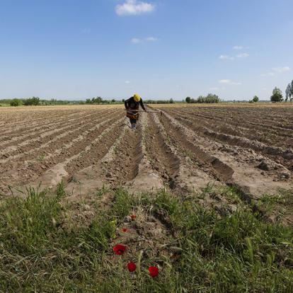 A Découvrir en Ouzbékistan - La vallée de Fergana