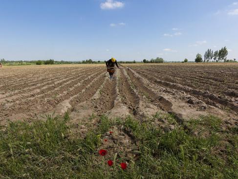 Vallée De Fergana A Découvrir en Ouzbékistan - La vallée de Fergana