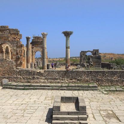 A Découvrir au Maroc - Volubilis