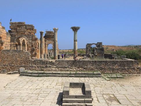 A Découvrir au Maroc - Volubilis