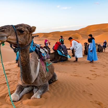 A Découvrir au Maroc - Merzouga