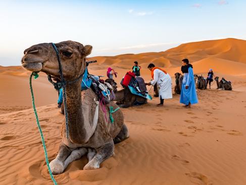 A Découvrir au Maroc - Merzouga