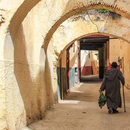 A Découvrir au Maroc - Meknès