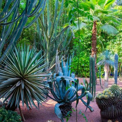 A Découvrir au Maroc - Marrakech