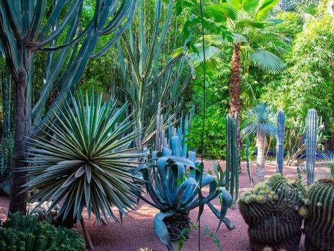 A Découvrir au Maroc - Marrakech