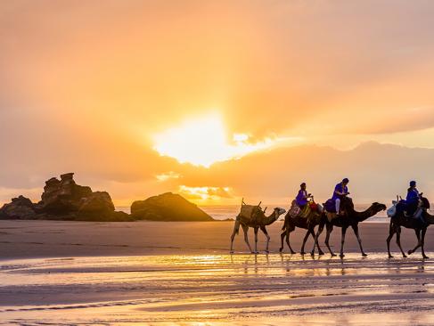 A Découvrir au Maroc - Essaouira