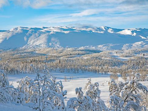 Montagne Du Télémark A Découvrir en Norvège - Le Telemark