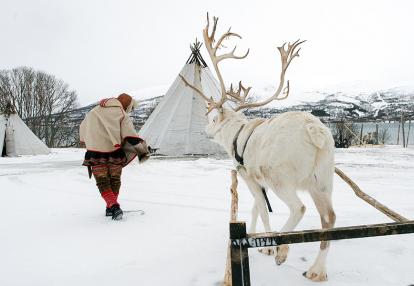 A Découvrir en Norvège - Le Peuple Sami
