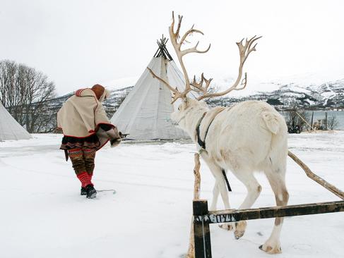 A Découvrir en Norvège - Le Peuple Sami