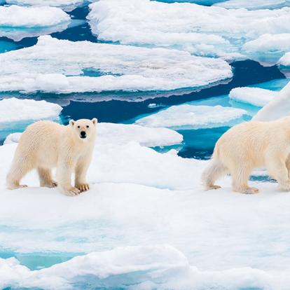 Barentsoya, Svalbard A Découvrir en Norvège - L'archipel du Svalbard