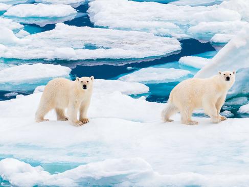 Barentsoya, Svalbard A Découvrir en Norvège - L'archipel du Svalbard