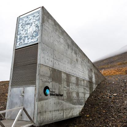 Réserve Mondiale De Semences à Svalbard A Découvrir en Norvège - L'archipel du Svalbard