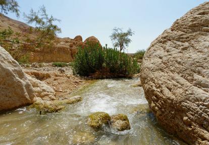 Wadi Ibn Hammad A Découvrir en Jordanie - Le Wadi Ibn Hammad