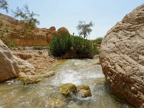 Wadi Ibn Hammad A Découvrir en Jordanie - Le Wadi Ibn Hammad